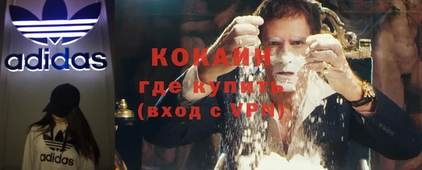 эйфоретик Богданович