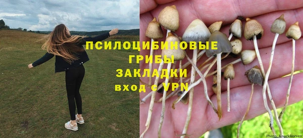 прущие крисы Богородицк