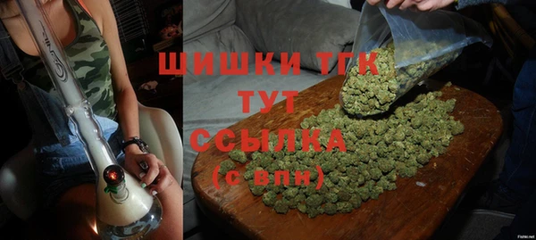 эйфоретик Богданович
