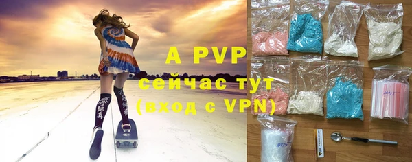 эйфоретик Богданович